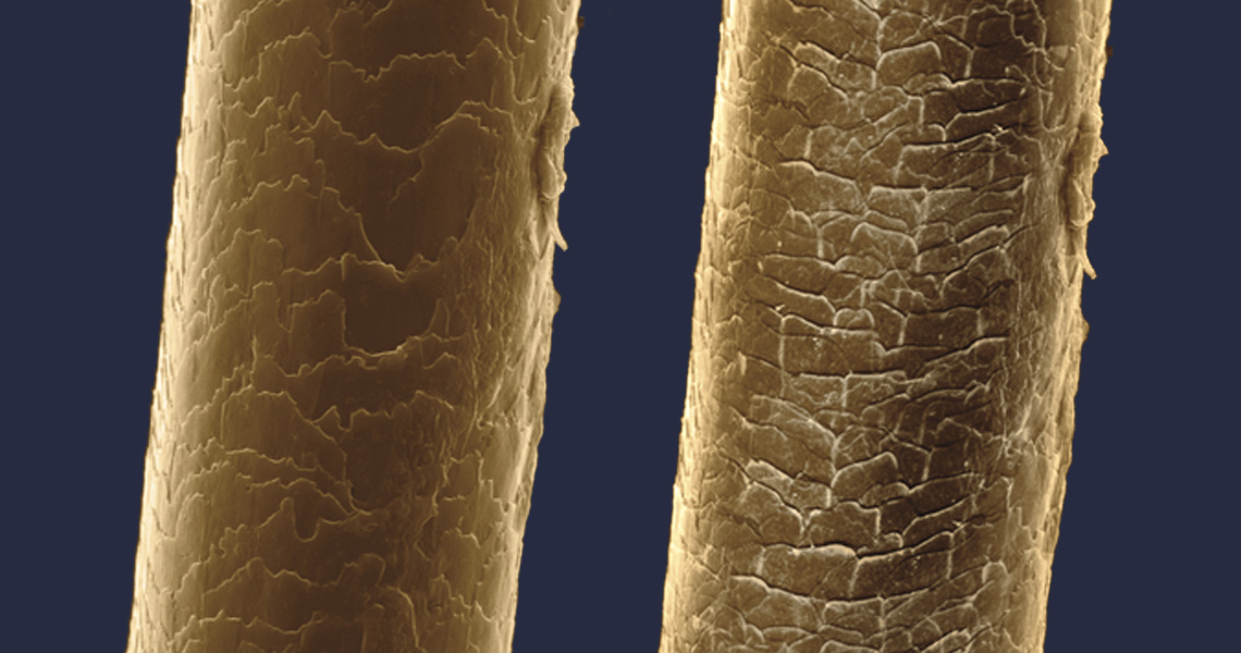 Digital Sensor - for healthy hair