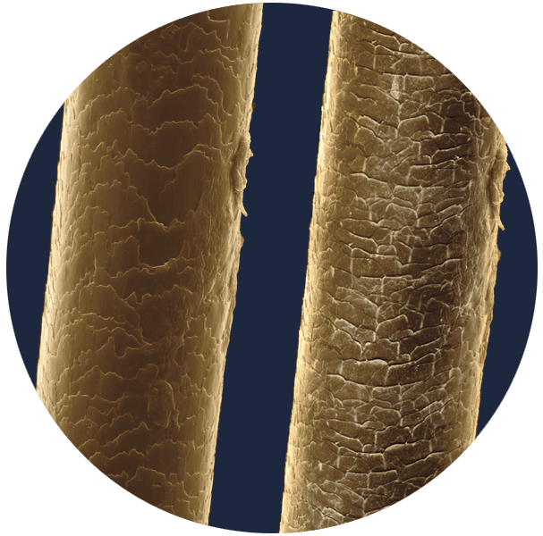 Digital Sensor - for healthy hair